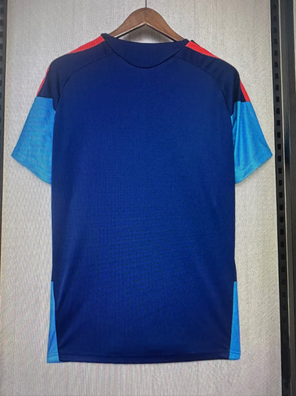 Maillot entrainement Espagne