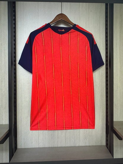 Maillot CDM  Espagne